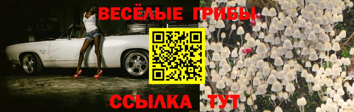 Галлюциногенные грибы GOLDEN TEACHER  Псилоцибиновые грибы Cubensis  цена наркотик  Сарапул  Вход с VPN 